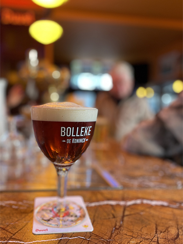 bolleke