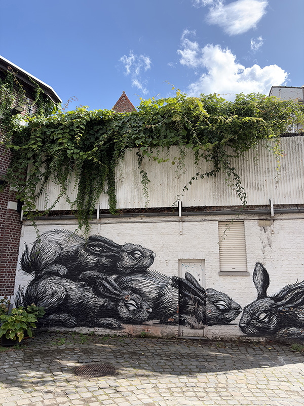 ROA